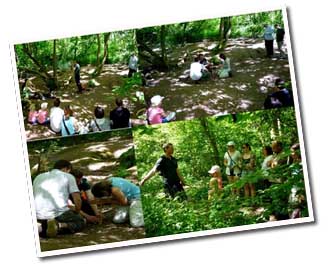 Wild edibles course
